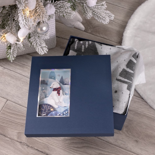 Изображение №1 | Коробка The Blue Bear, M