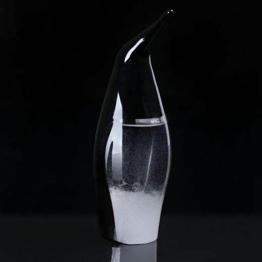 Изображение №4 | Штормгласс Penguin, черный