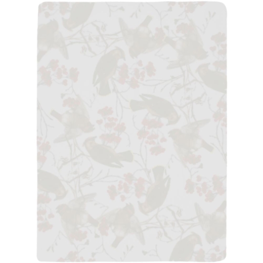 Изображение №2 | Флисовый плед Winter Bird