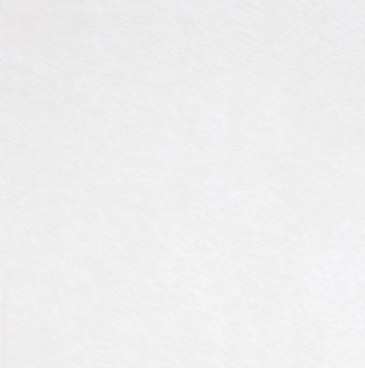 Изображение №1 | Заготовка из фетра Felt S, белый