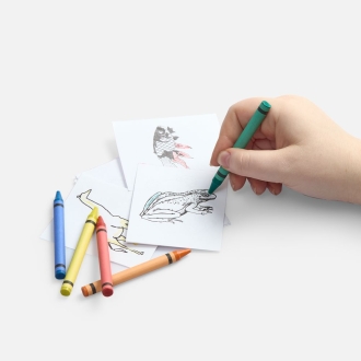 Изображение №5 | Набор для раскрашивания Create, белый