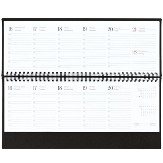 Изображение №5 | Планинг Sagrin, датированный, черный