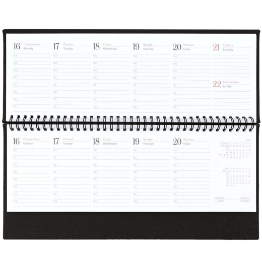 Изображение №5 | Планинг Sagrin, датированный, черный