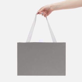 Изображение №4 | Коробка Regalis, серая