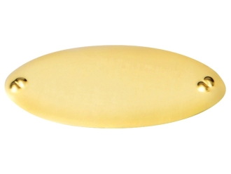 Изображение №2 | Шильд «Золото» (золотистый)