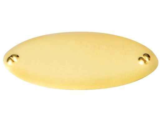 Изображение №2 | Шильд «Золото» (золотистый)