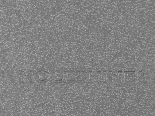 Изображение №6 | Записная книжка A6+ Classic (в линейку), Medium (серый)