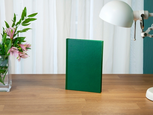 Изображение №4 | Ежедневник недатированный А5 «Ideal New» A5 (зеленый)