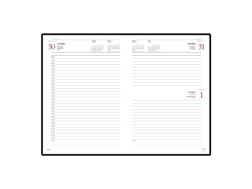 Изображение №2 | Ежедневник датированный А5 «Ideal New» на 2026 год (бордовый)