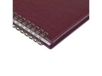 Изображение №5 | Планинг датированный «Sidney Nebraska» на 2026 год (бордовый)