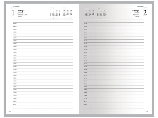 Изображение №2 | Ежедневник А5 датированный «Бумвинил» на 2025 год (бордовый)