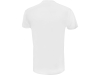 Изображение №6 | Футболка спортивная «Verona» мужская XS (белый)