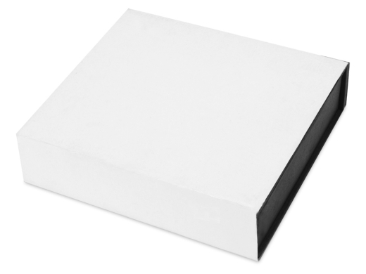 Изображение №5 | Награда «Lex» (прозрачный/серебристый)