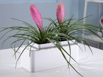 Изображение №6 | Компактный смарт-сад «iGarden» (белый, серый)