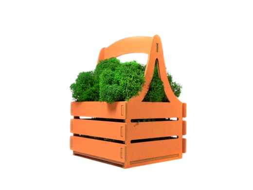 Изображение №3 | Композиция «Корзинка со мхом» (оранжевый, зеленый)