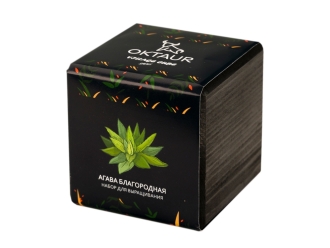 Изображение №1 | Набор для выращивания «Small village cube «Агава Благородная» (черный)