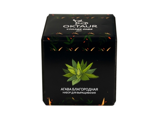 Изображение №2 | Набор для выращивания «Small village cube «Агава Благородная» (черный)