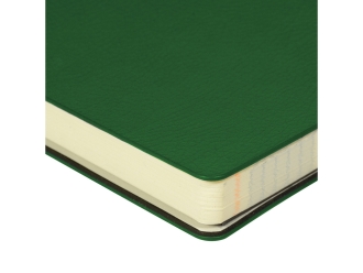 Изображение №5 | Ежедневник недатированный А5 «Megapolis Flex Smart» (зеленый)