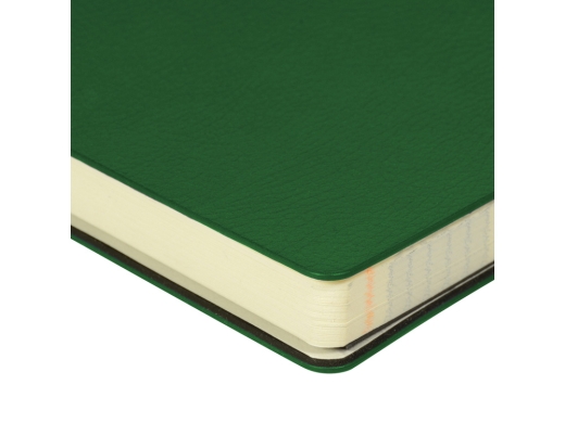 Изображение №5 | Ежедневник недатированный А5 «Megapolis Flex Smart» (зеленый)