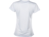 Изображение №9 | Футболка спортивная «Verona» женская XS (белый)