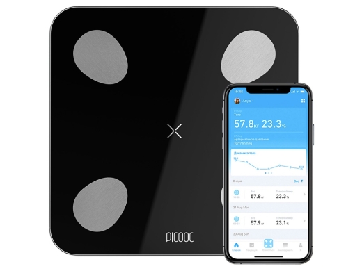 Изображение №1 | Умные диагностические весы Mini Lite (черный)