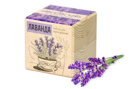 Изображение №1 | Набор для выращивания «Экокуб», лаванда