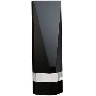 Изображение №1 | Награда Statum