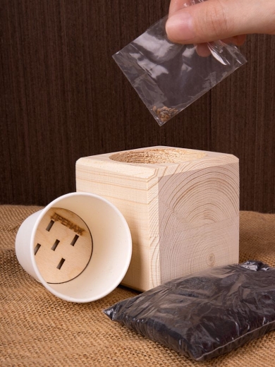 Изображение №5 | Набор для выращивания «Экокуб», ель голубая