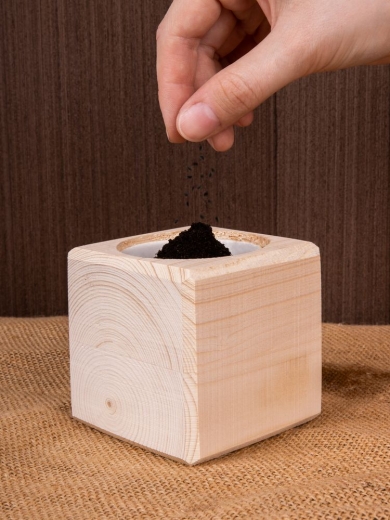 Изображение №7 | Набор для выращивания «Экокуб», сосна