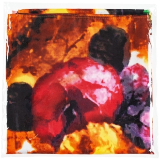 Изображение №2 | Платок Fleur