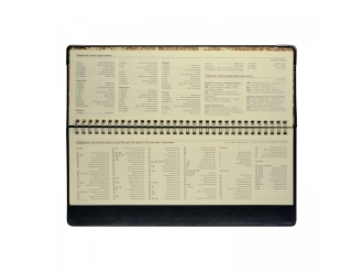 Изображение №3 | Планинг недатированный «Persona» (синий)