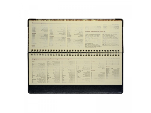 Изображение №3 | Планинг недатированный «Persona» (синий)