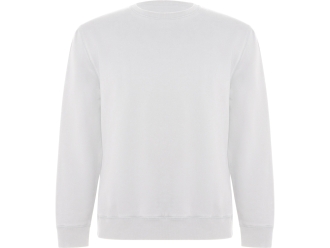 Изображение №1 | Свитшот из органического хлопка «Batian», унисекс XS (белый)