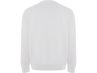 Изображение №2 | Свитшот из органического хлопка «Batian», унисекс XS (белый)