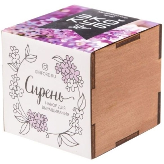 Изображение №1 | Набор для выращивания «Экокуб Lite», сирень