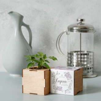 Изображение №2 | Набор для выращивания «Экокуб Lite», сирень