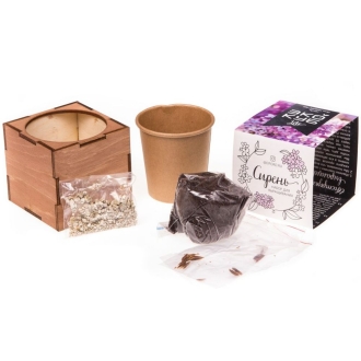 Изображение №5 | Набор для выращивания «Экокуб Lite», сирень