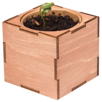 Изображение №6 | Набор для выращивания «Экокуб Lite», сирень