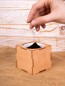 Изображение №11 | Набор для выращивания «Экокуб Lite», сирень