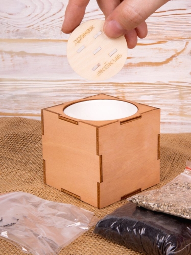 Изображение №10 | Набор для выращивания «Экокуб Lite», сирень