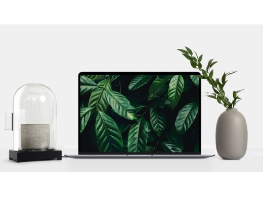 Изображение №3 | Сетевое зарядное устройство «NEO Z Type-C 60» (черный)