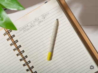 Изображение №6 | «Растущий карандаш» mini с семенами акации серебристой (серый/желтый)