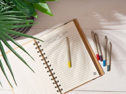 Изображение №8 | «Растущий карандаш» mini с семенами акации серебристой (серый/желтый)