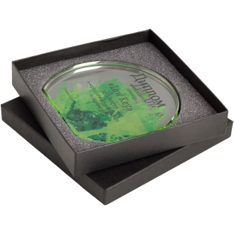 Изображение №4 | Награда Lentil, малая