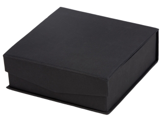 Изображение №8 | Награда «Triumph» (прозрачный)