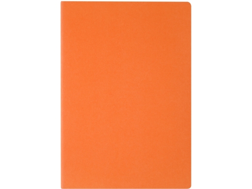Изображение №2 | Бизнес тетрадь А5 «Pragmatic» (оранжевый)