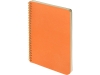 Изображение №1 | Бизнес тетрадь А5 «Pragmatic» (оранжевый)