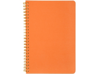 Изображение №2 | Бизнес тетрадь А5 «Pragmatic» (оранжевый)