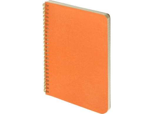 Изображение №1 | Бизнес тетрадь А5 «Pragmatic» (оранжевый)