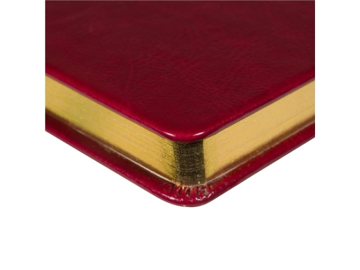 Изображение №3 | Ежедневник недатированный А5 «Megapolis Nebraska» (бордовый)